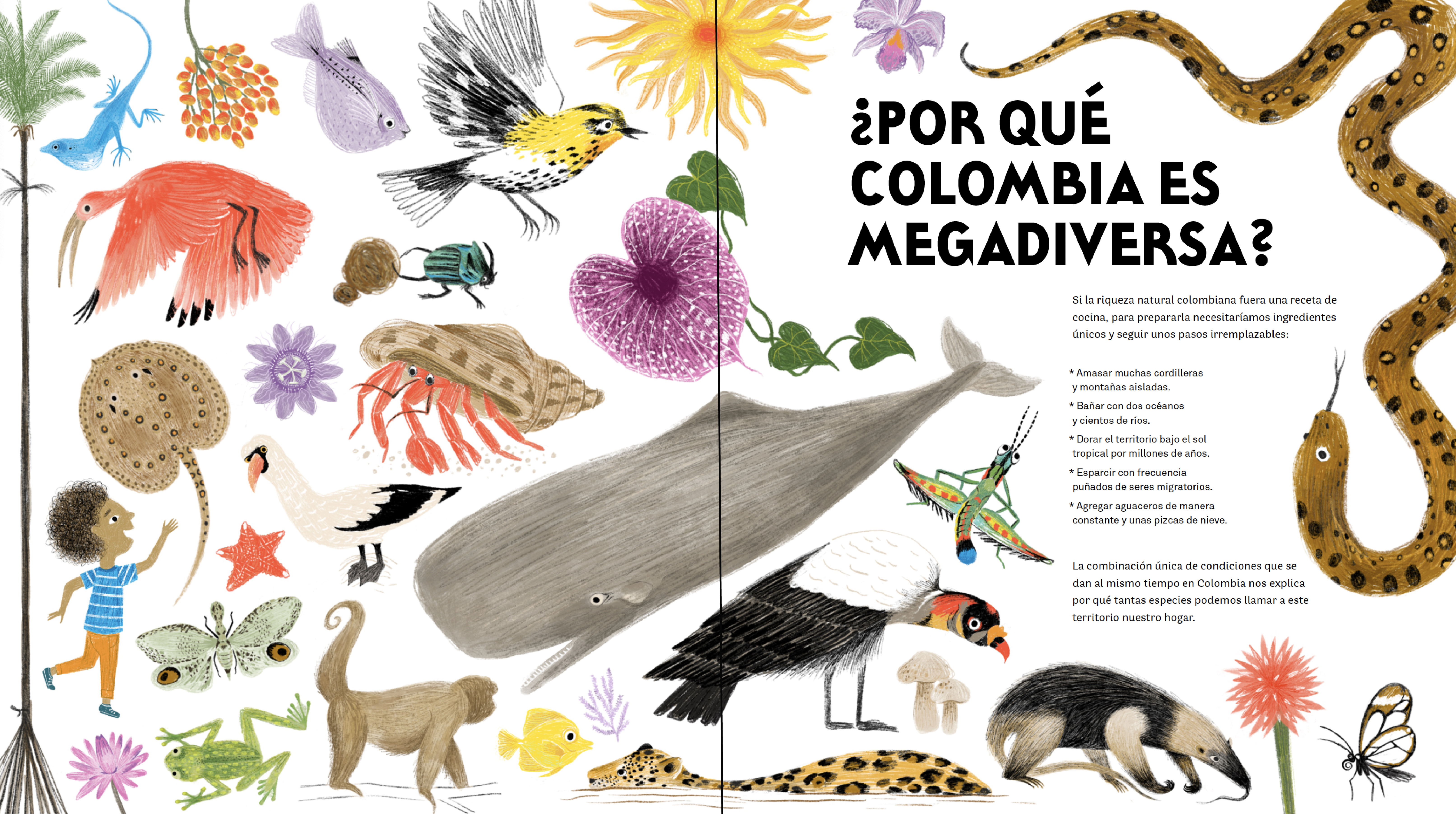 Colombia de arriba abajo