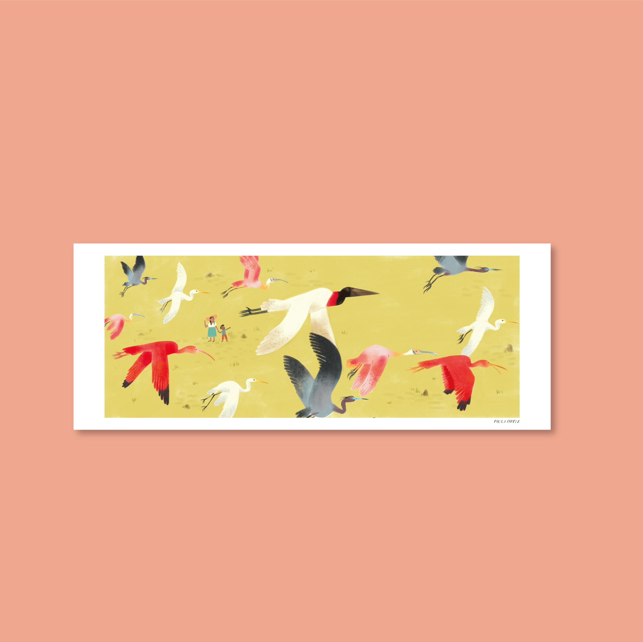 Afiche - Aves del llano