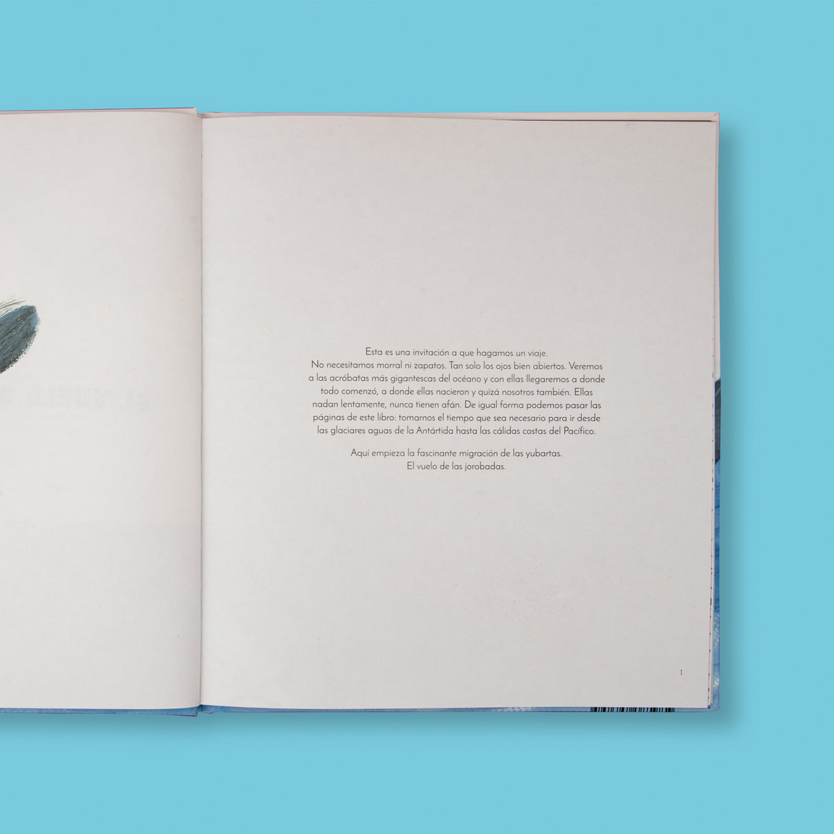 El vuelo de las jorobadas - Image 4