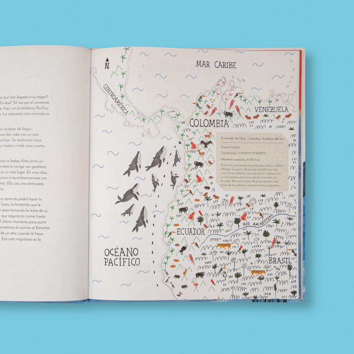 El vuelo de las jorobadas - Image 8