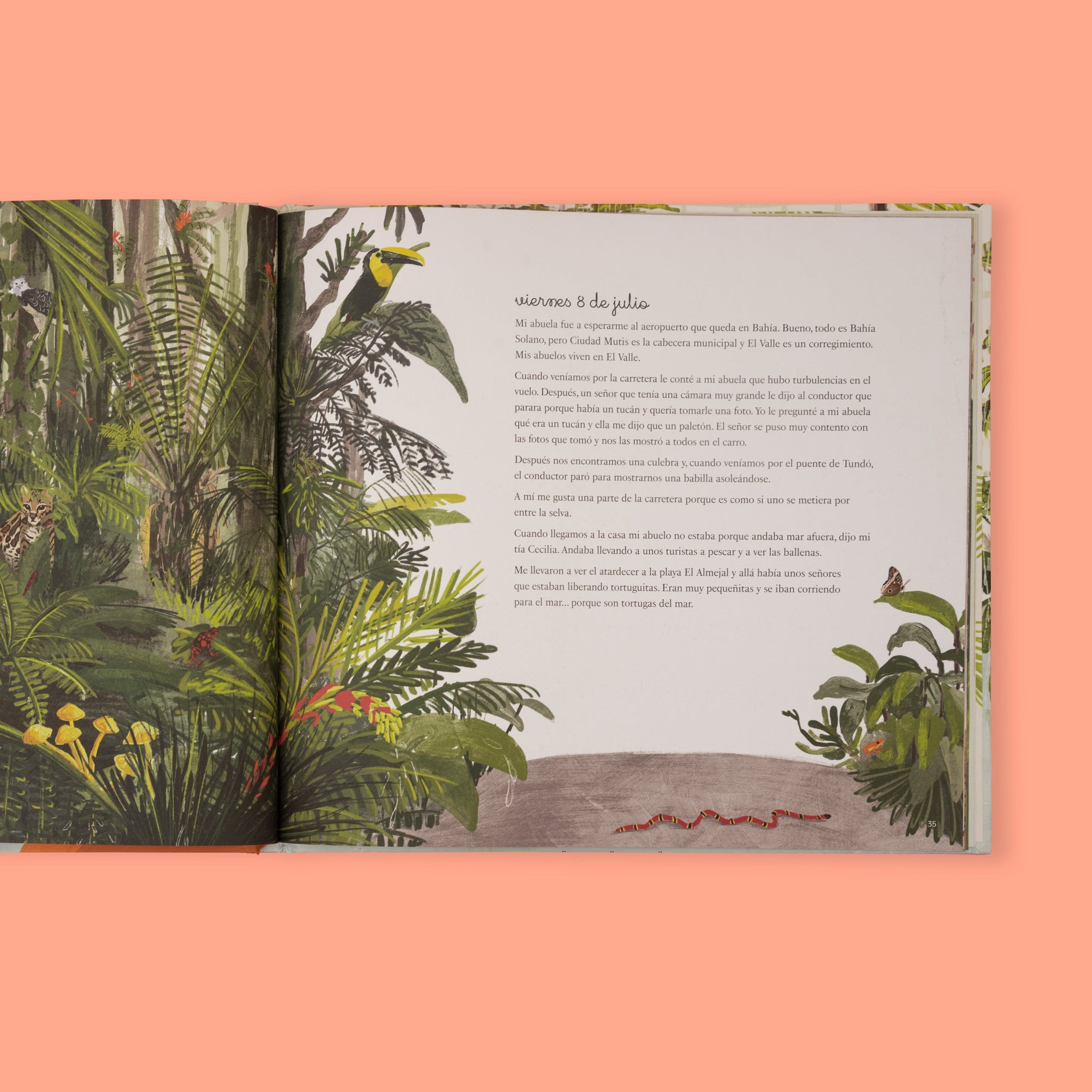 Chocó: selva, lluvia, río y mar - Image 9