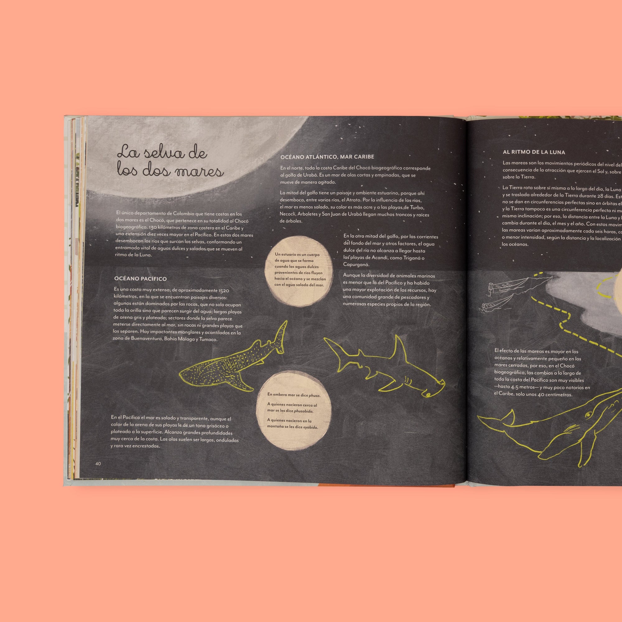 Chocó: selva, lluvia, río y mar - Image 5