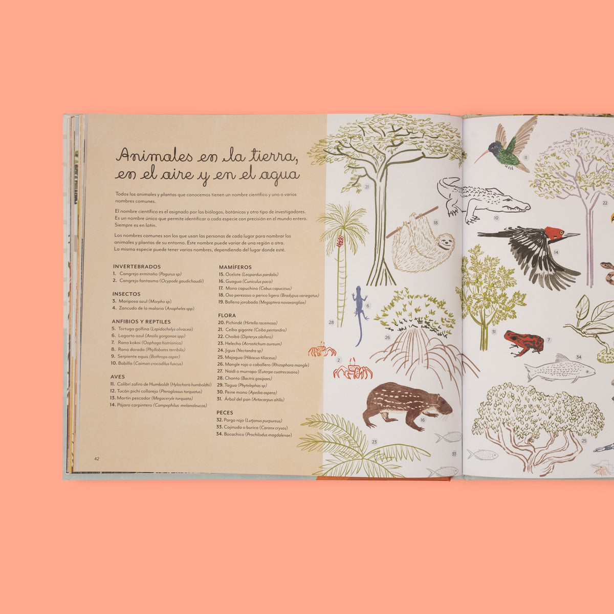 Chocó: selva, lluvia, río y mar - Image 11