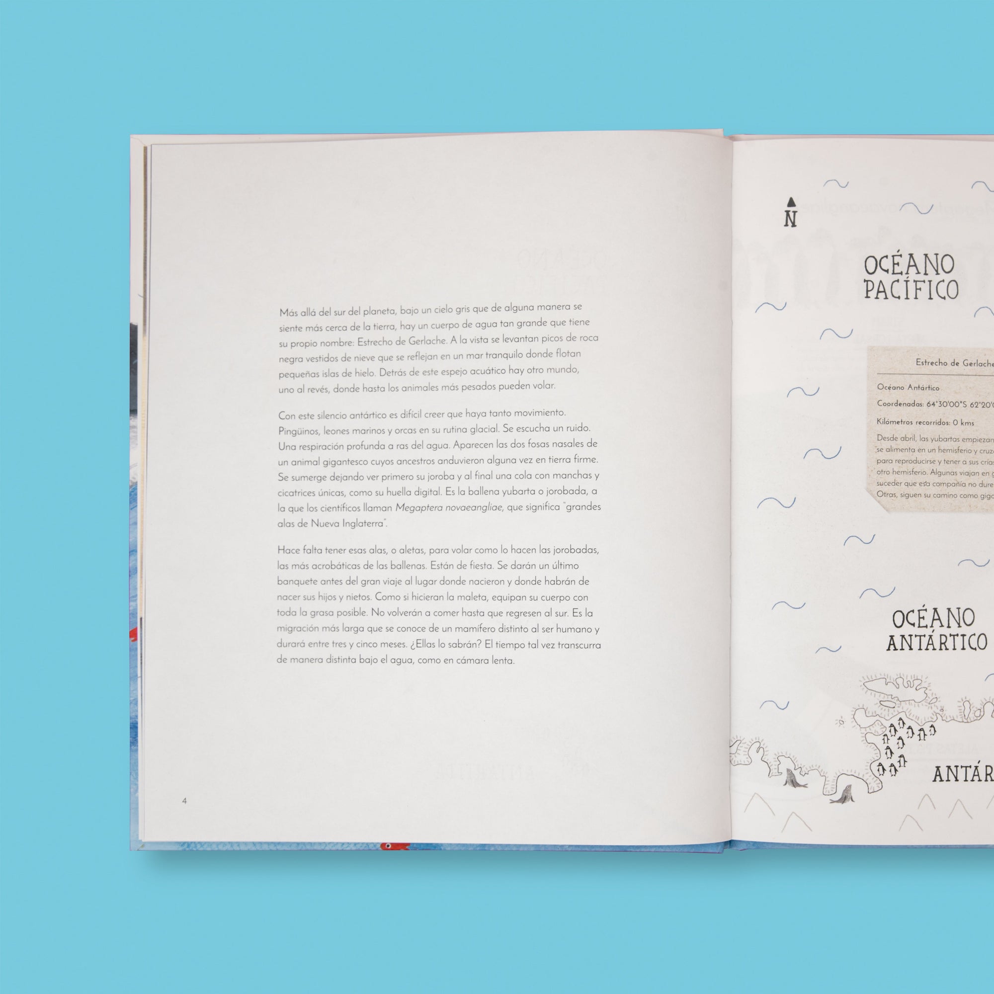 El vuelo de las jorobadas - Image 9