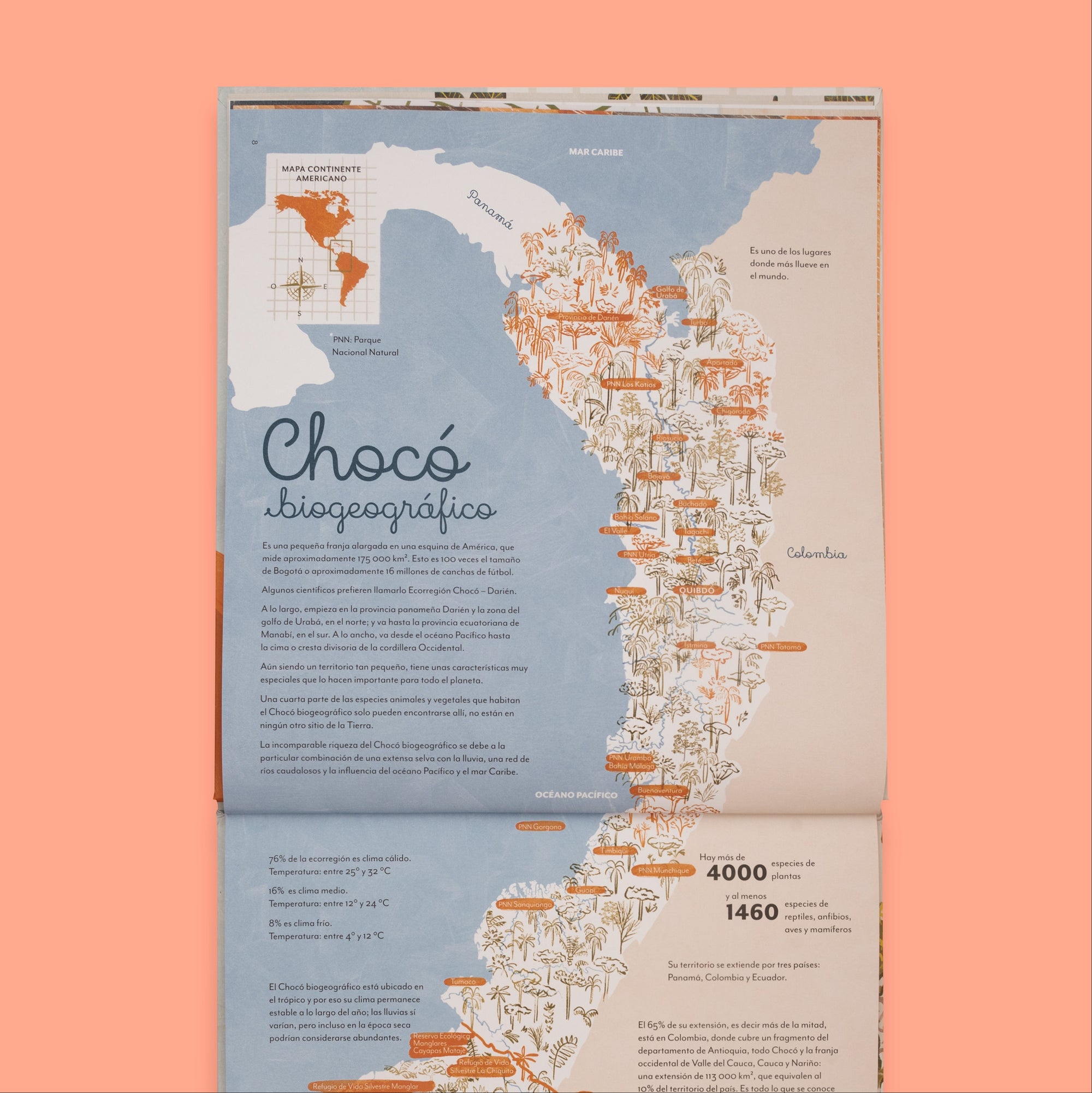 Chocó: selva, lluvia, río y mar - Image 4