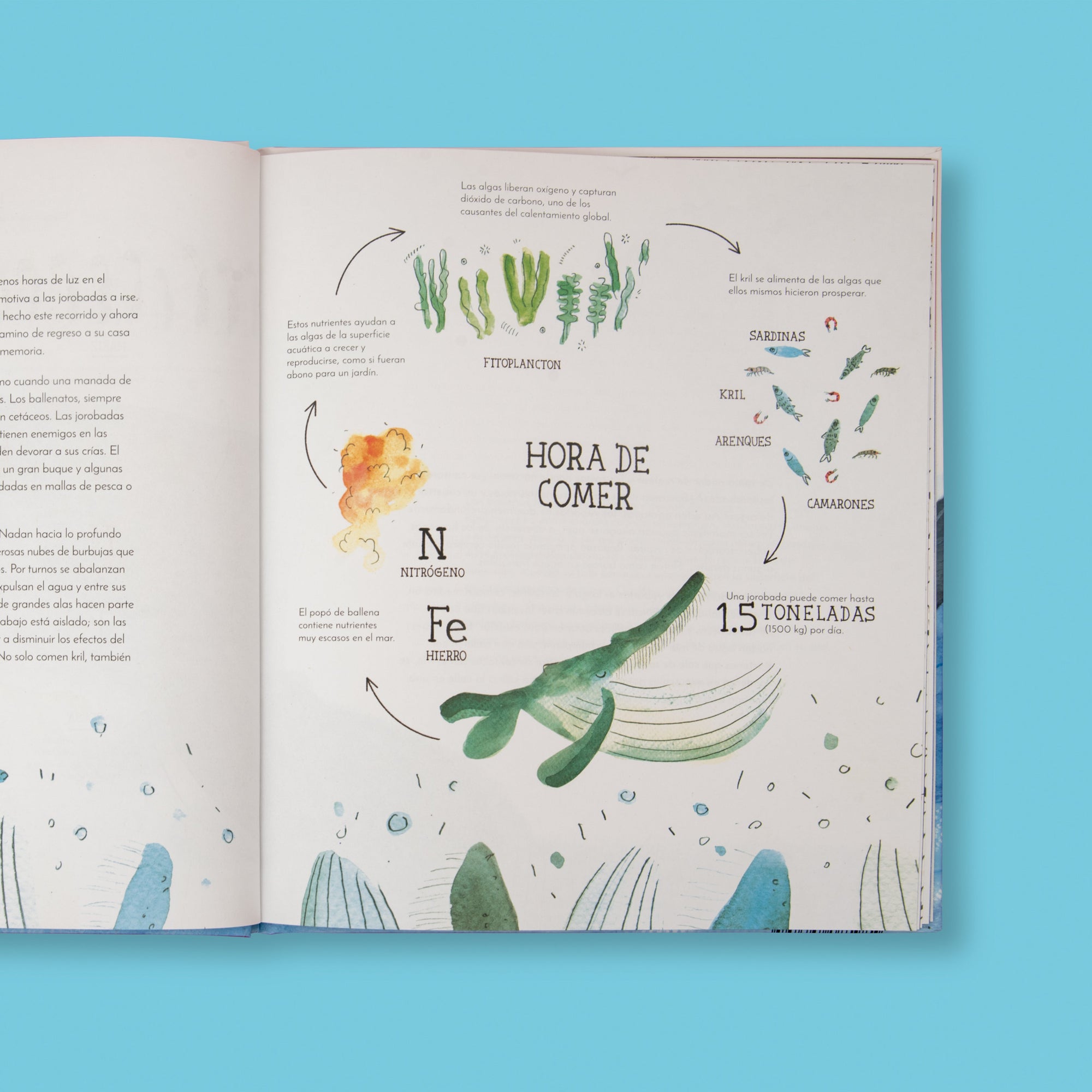 Kit - 3 libros sobre Colombia - Image 4