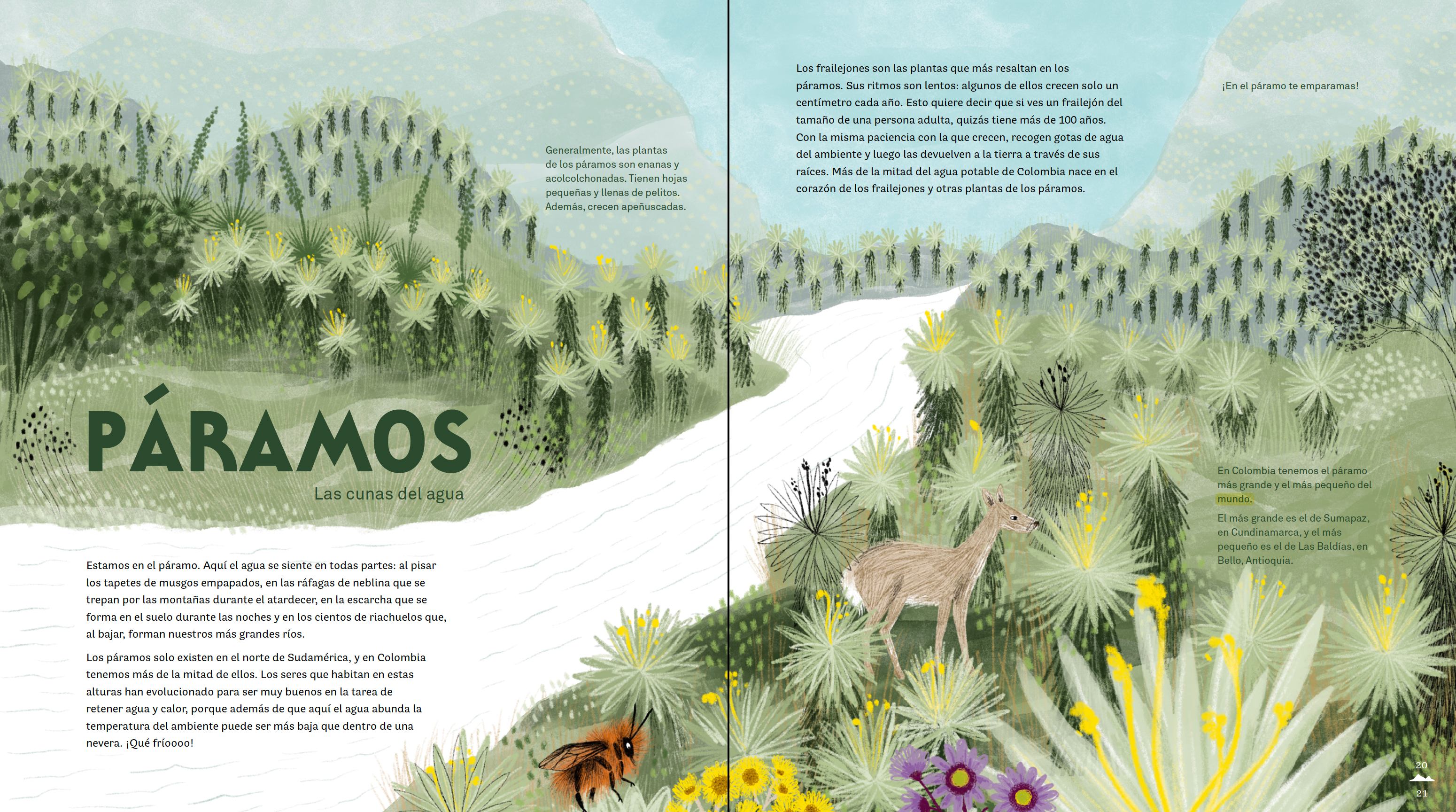 Colombia de arriba abajo