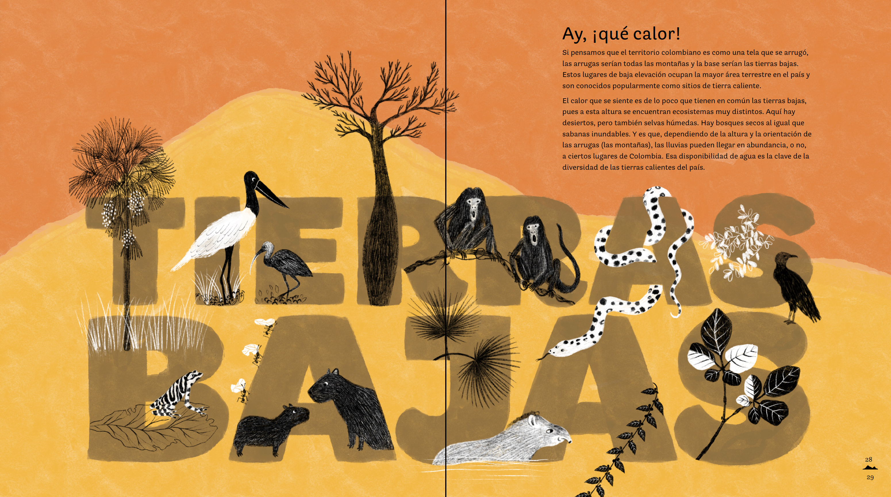 Colombia de arriba abajo