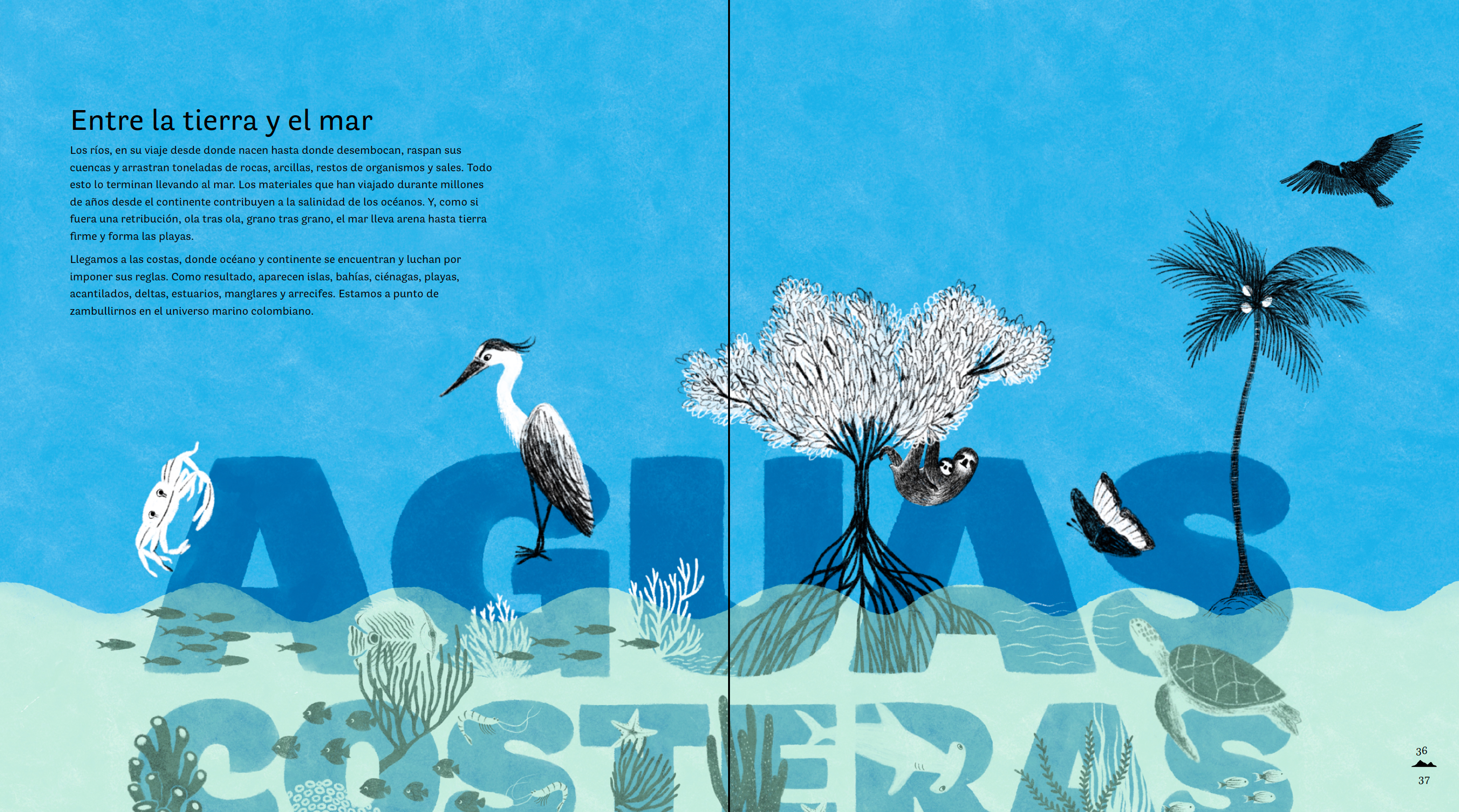 Colombia de arriba abajo