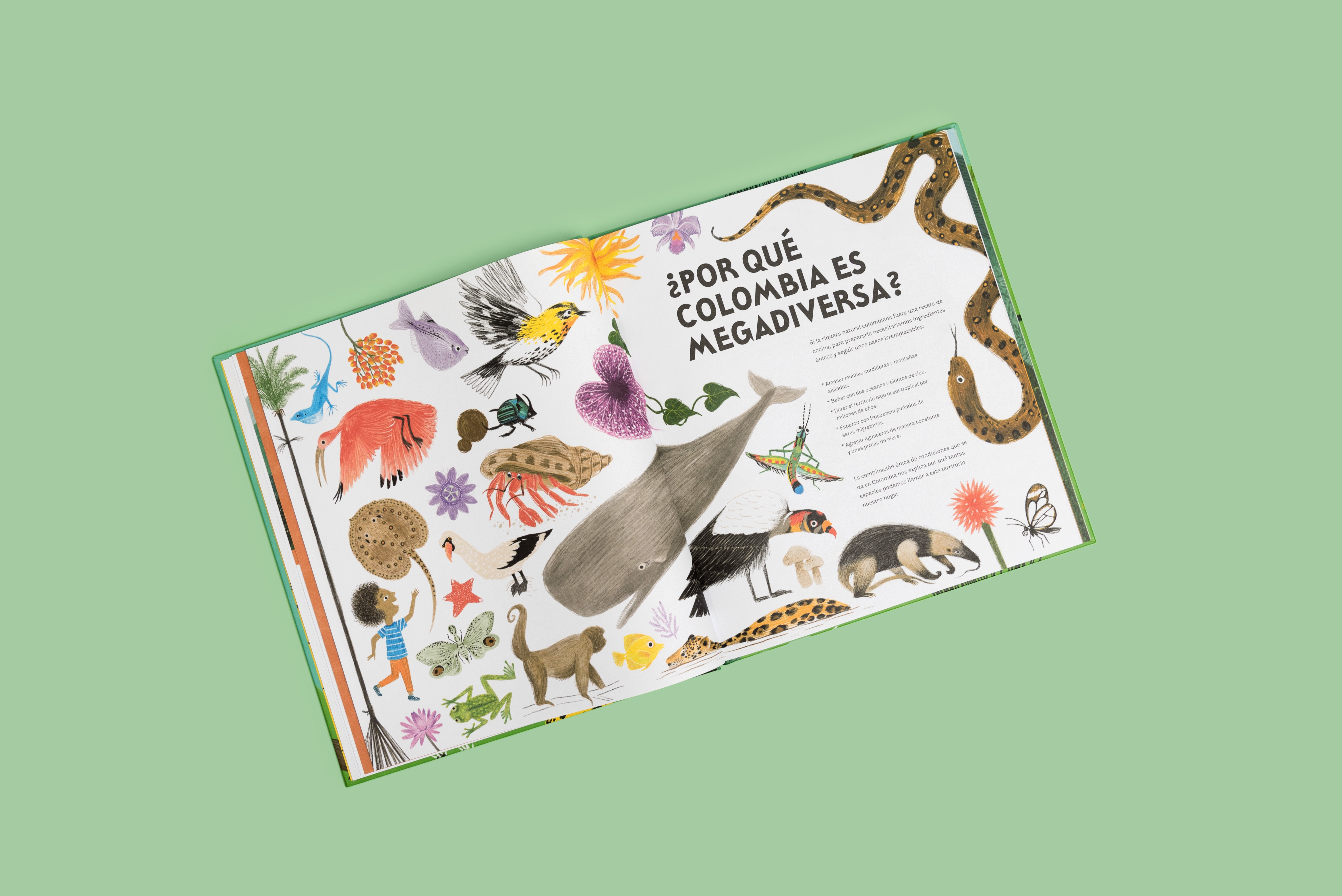 Colombia de arriba abajo