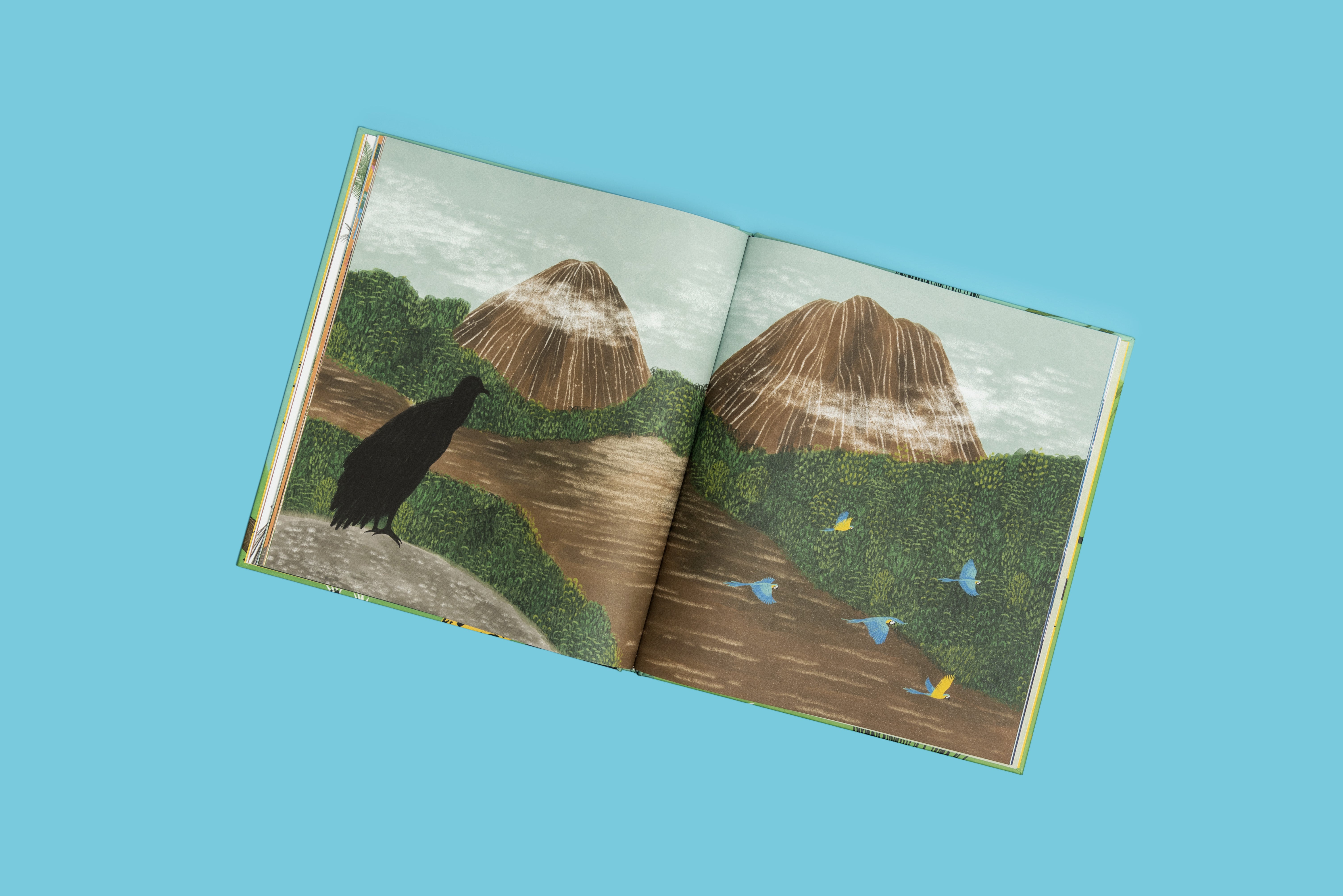 Colombia de arriba abajo