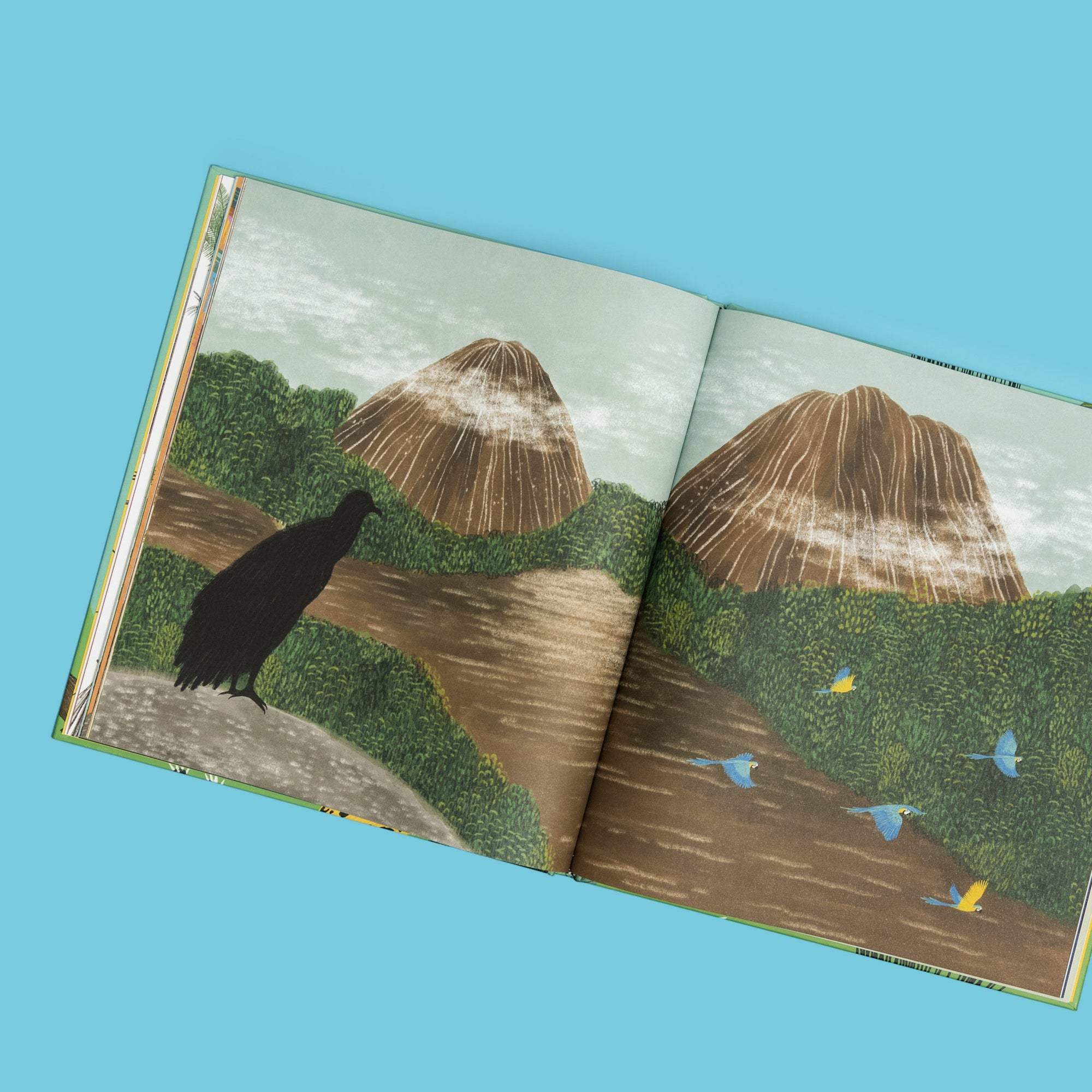 Colombia de arriba abajo - Image 6