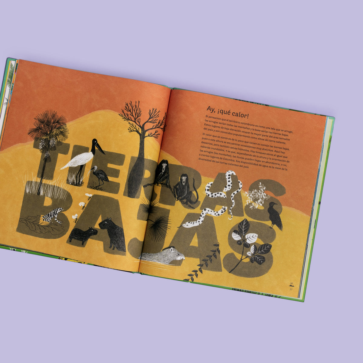 Colombia de arriba abajo - Image 3