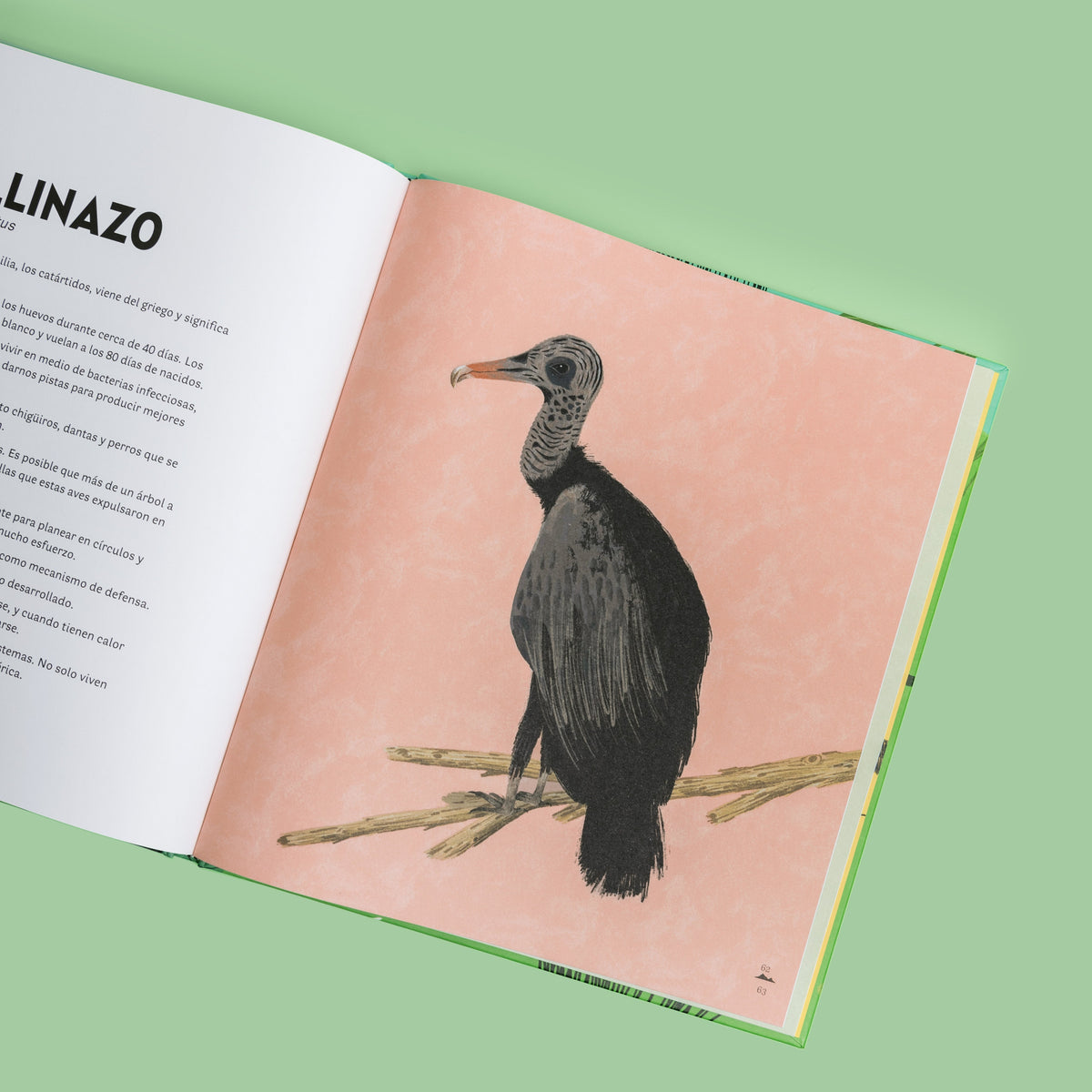 Colombia de arriba abajo - Image 9