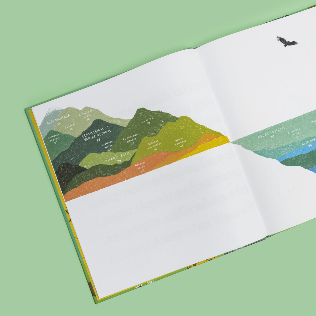 Colombia de arriba abajo - Image 4