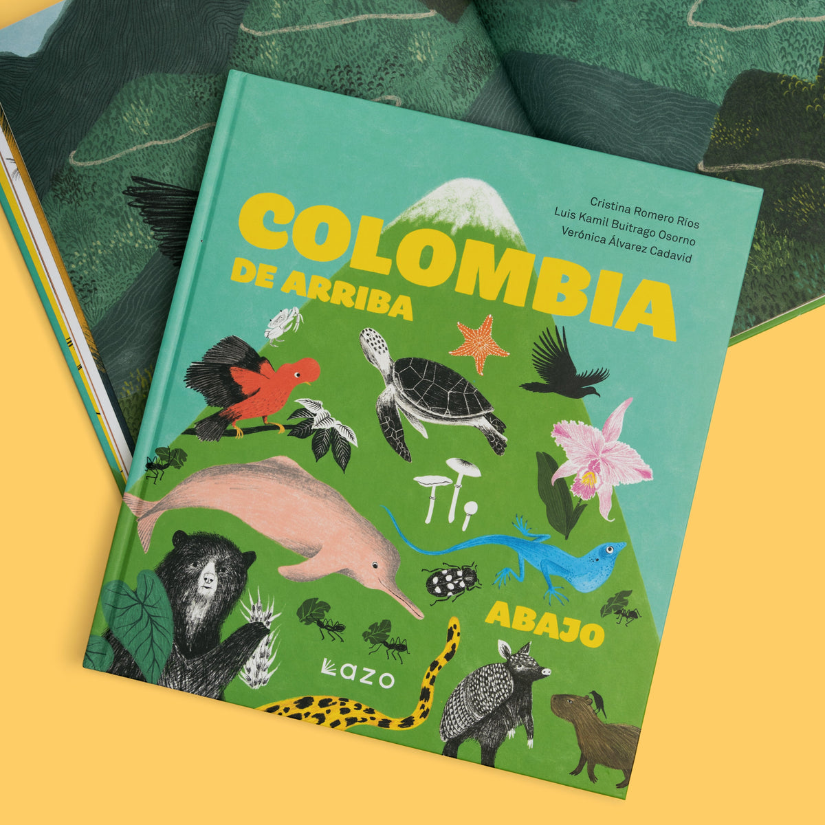 Colombia de arriba abajo - Image 12