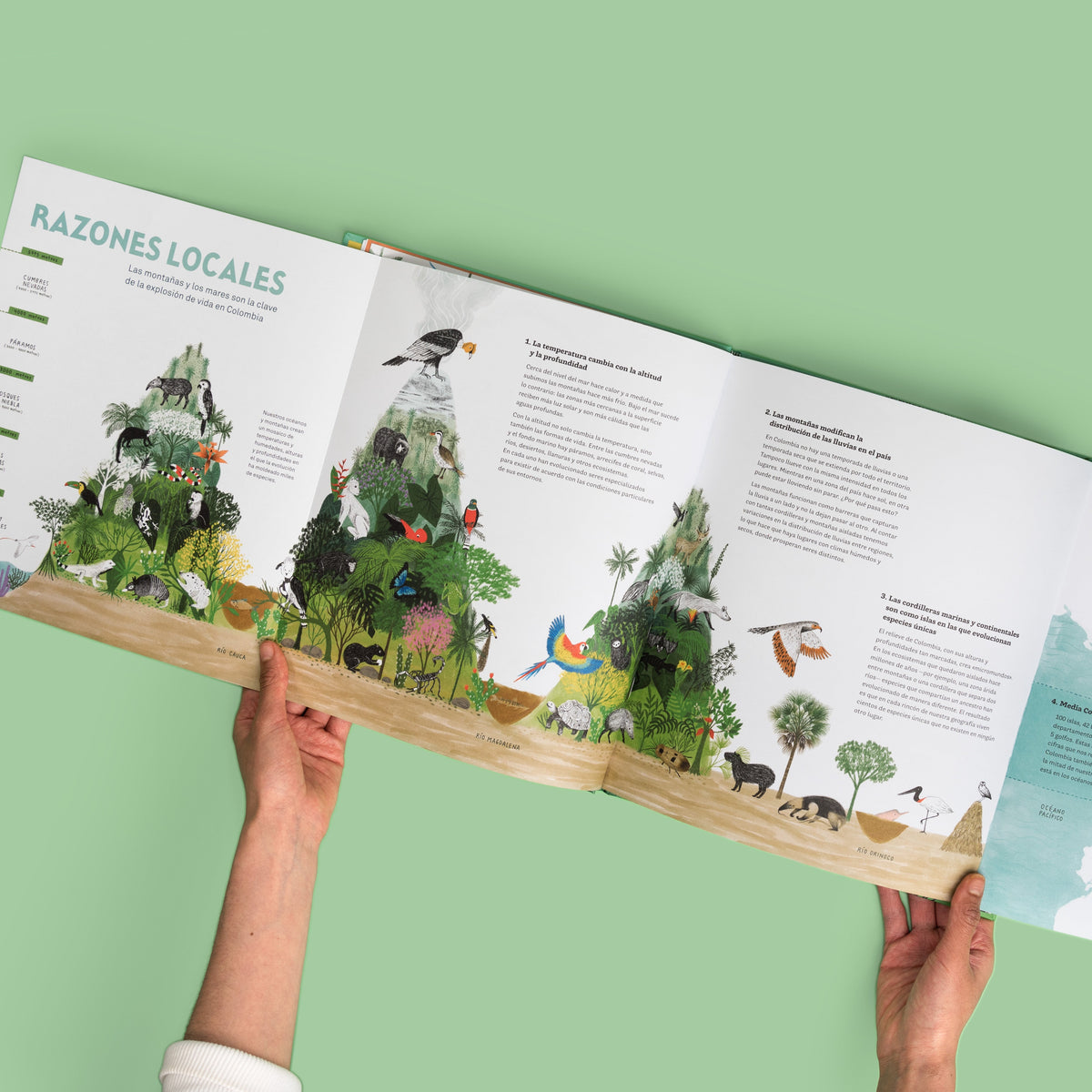 Colombia de arriba abajo - Image 5