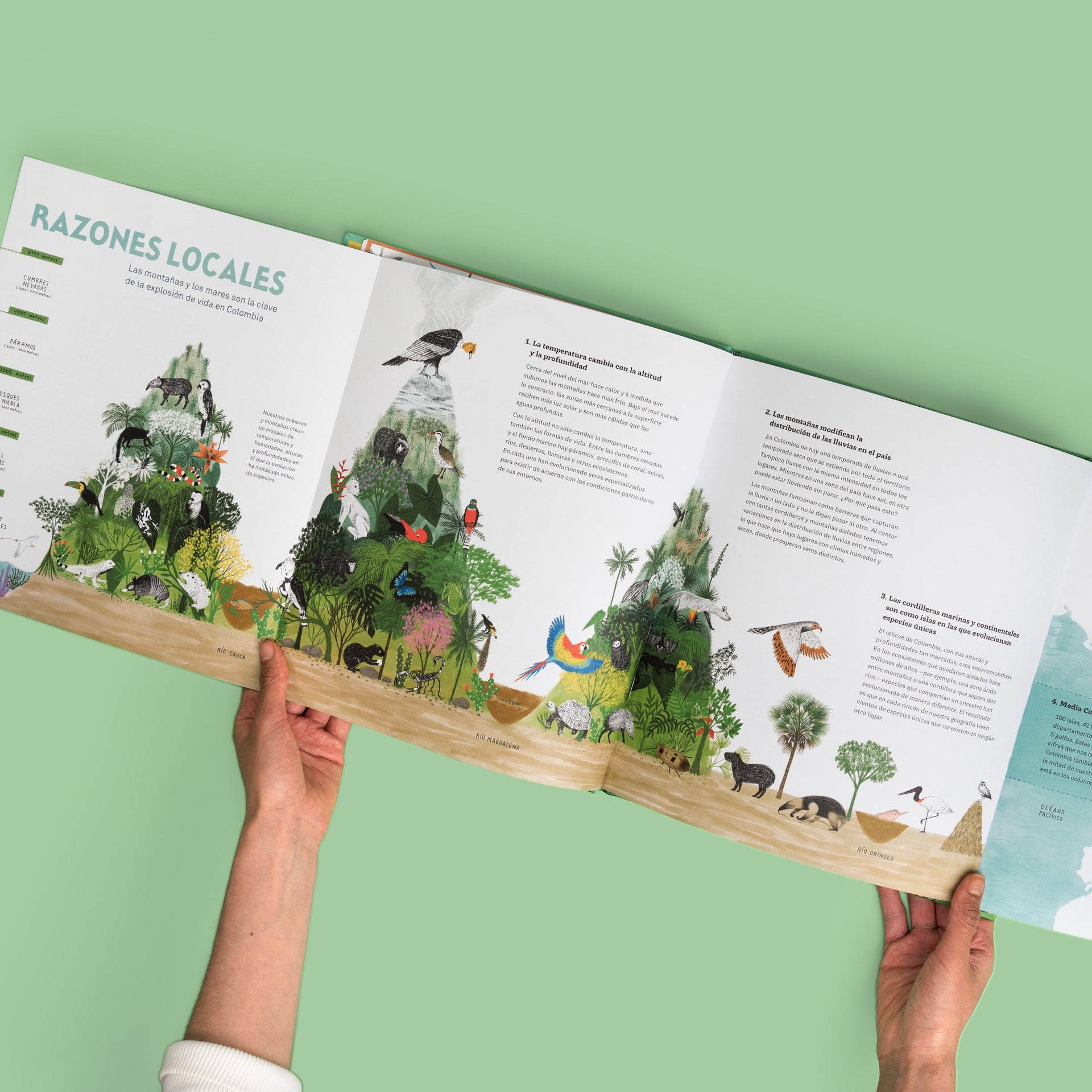 Un viaje por Colombia