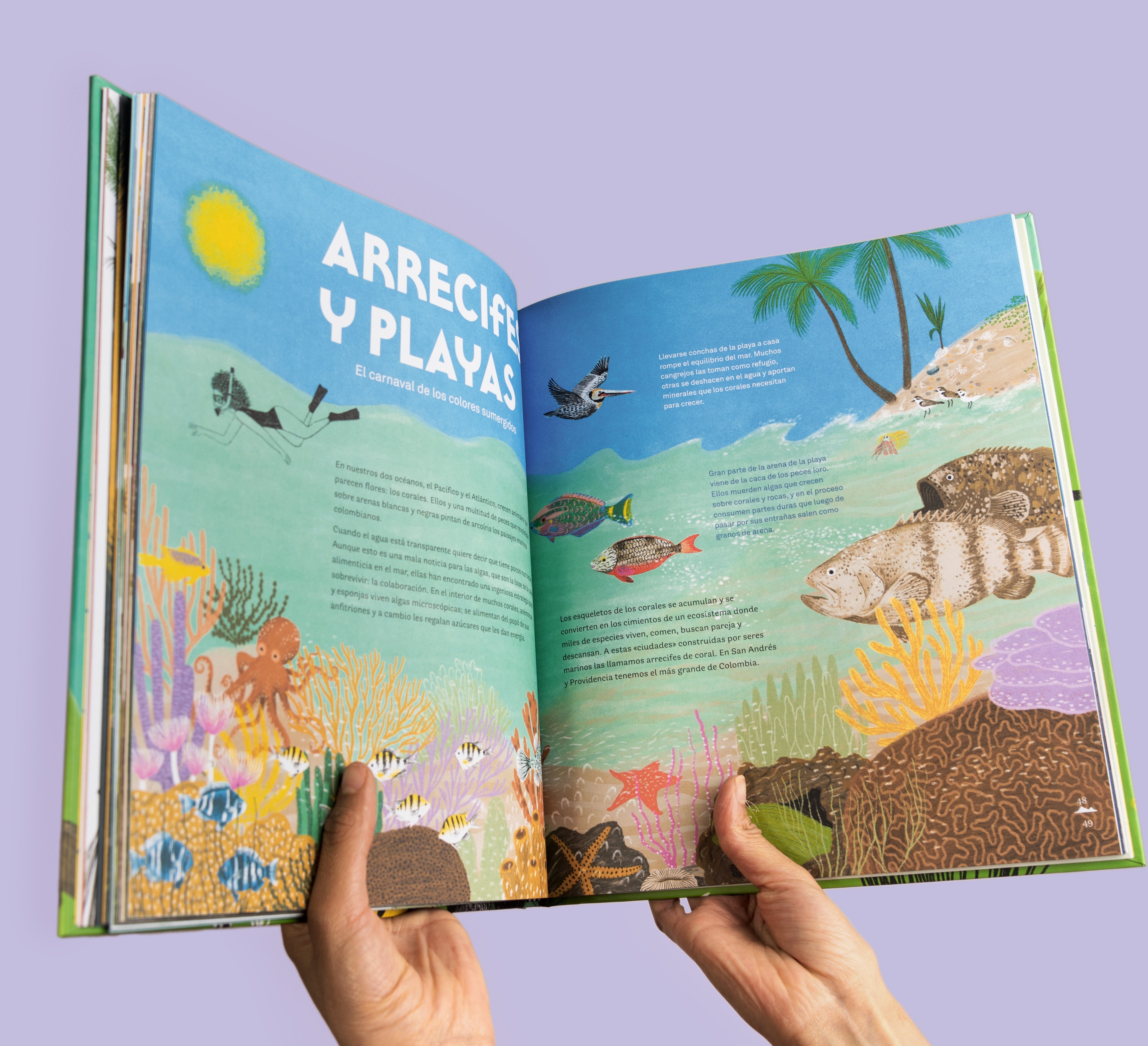 Colombia de arriba abajo