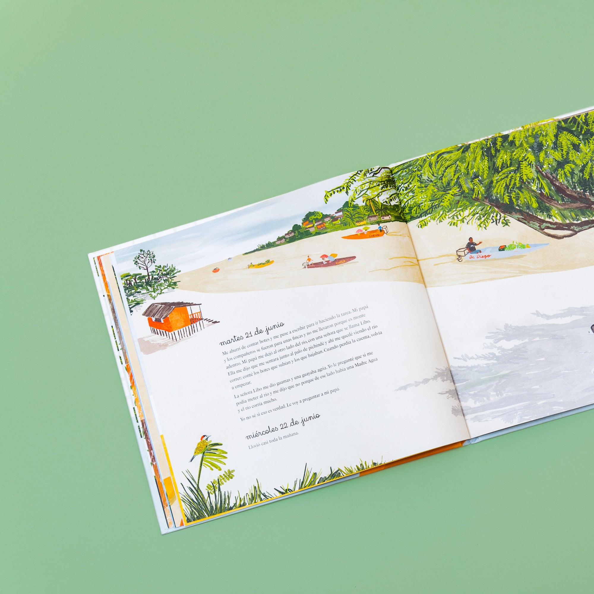 Chocó: selva, lluvia, río y mar - Image 8