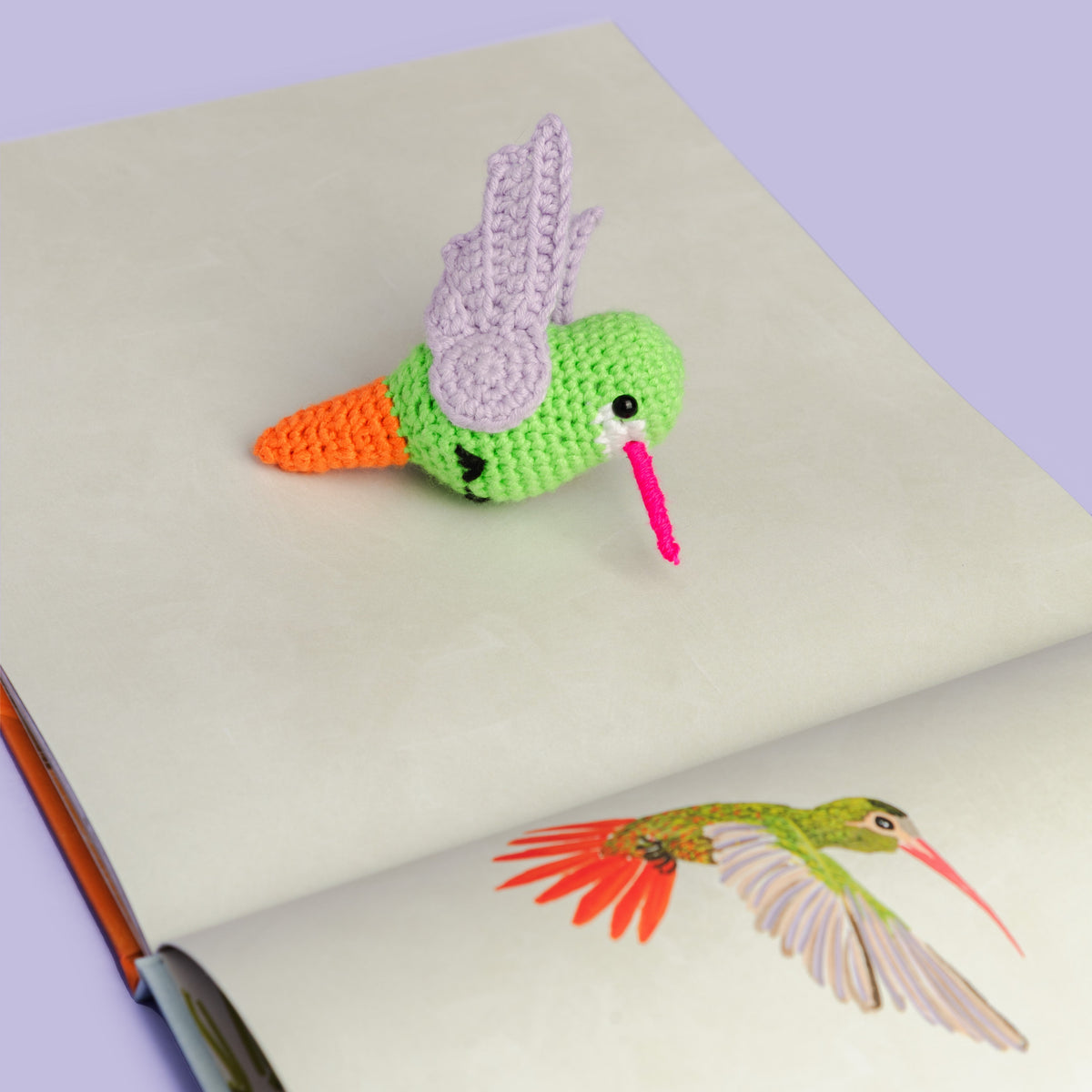 Libro Chocó: selva, lluvia, río y mar + peluche colibrí - Image 2