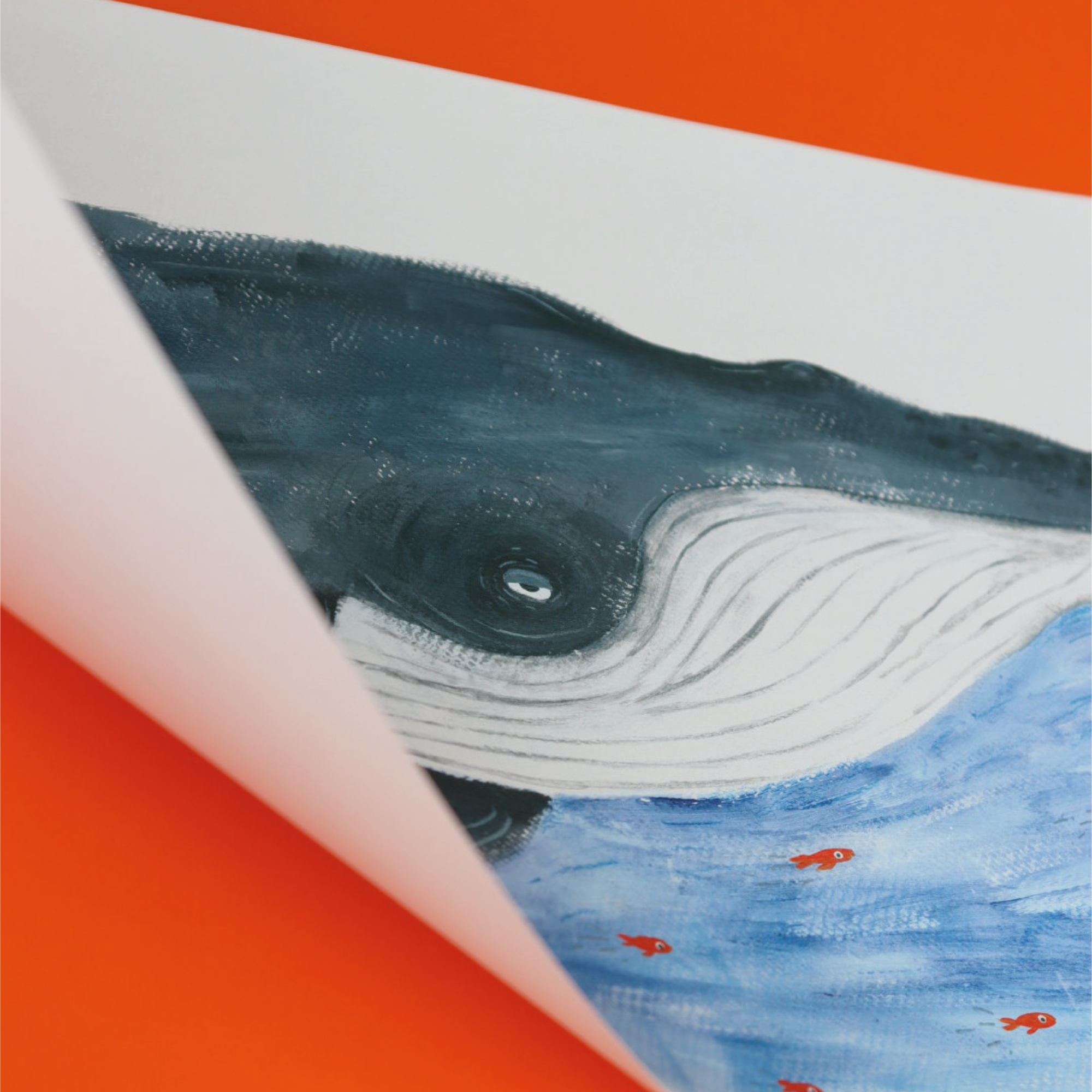 Afiche - Ballena de grandes alas - Image 2