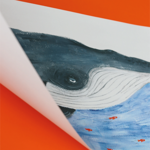 Afiche - Ballena de grandes alas